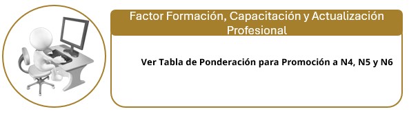 Puntajes máximos por grupo función